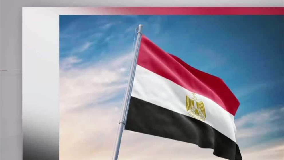 مصر تطالب بالضغط على إسرائيل للامتثال لالتزاماتها القانونية ووقف العمليات العسكرية في غزة